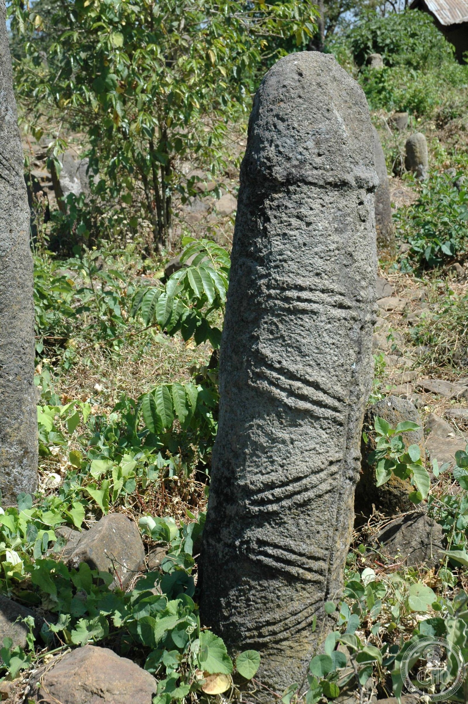 Tutu Fela phallic stele in the Gedeo Cultural Landscape, Southern Ethiopia — monolithic stelae of the Gedeo people mark ancestral burial grounds within the living agroforestry landscape, a system of multi-layer cultivation that has sustained the forest ecosystem for thousands of years