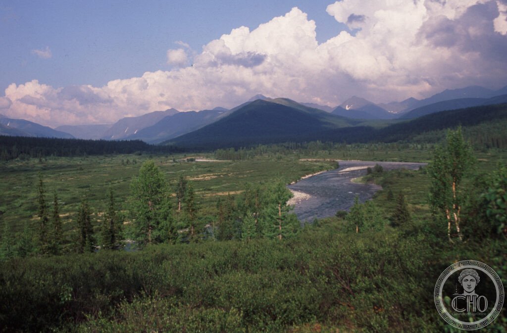 Virgin Komi Forests Russia Ural Mountains boreal taiga primeval UNESCO World Heritage