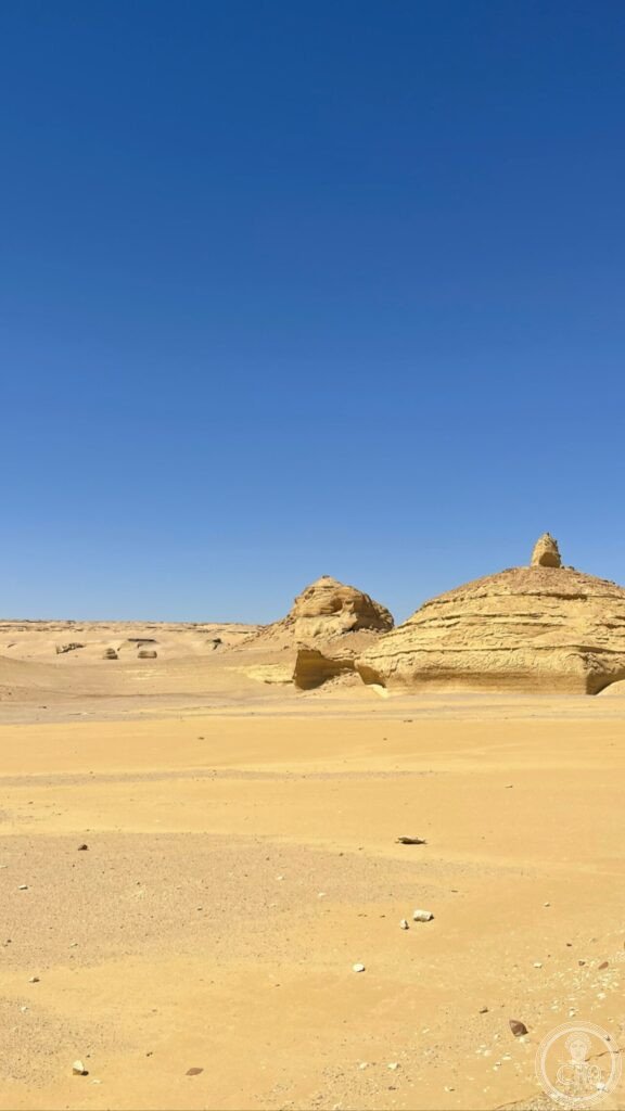Wadi Al-Hitan Whale Valley Egypt archaeoceti fossil UNESCO World Heritage