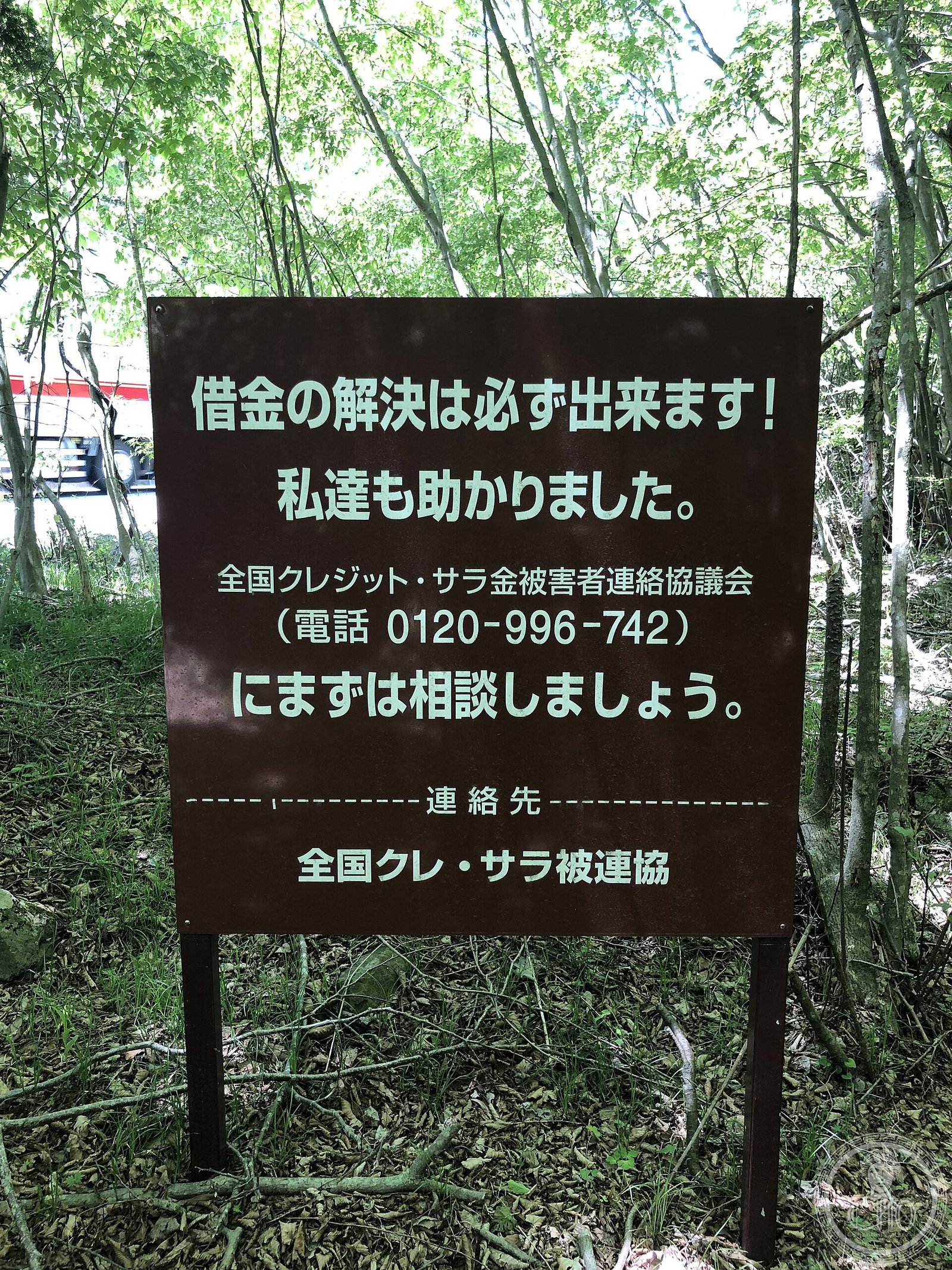 The forest of suicides – Aokigahara — via Wikimedia Commons