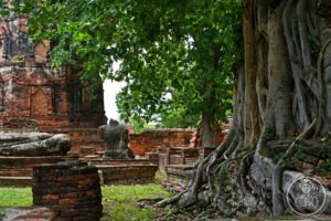 Ayutthaya Historical Park