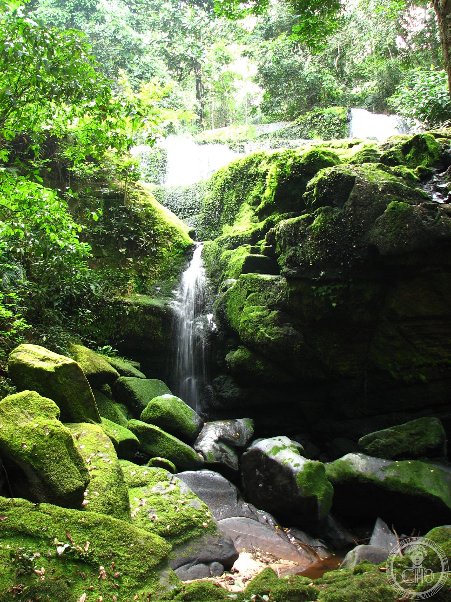 Ivindo National Park, Gabon, UNESCO World Heritage