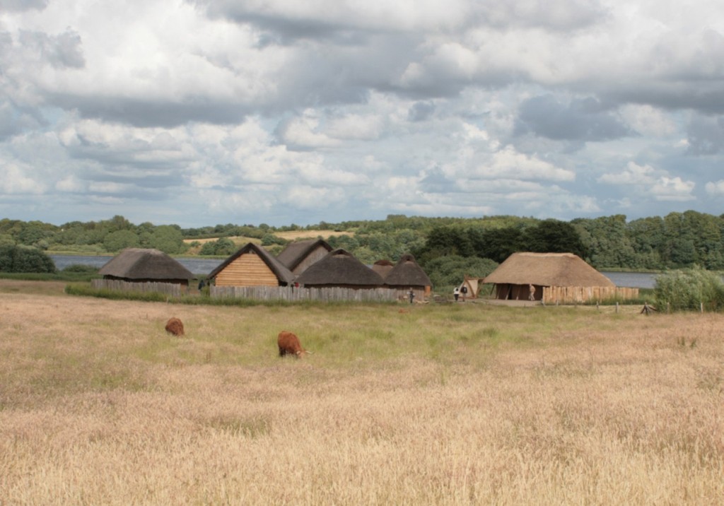 Reconstructed Viking Age longhouses at Hedeby Museum, Schleswig-Holstein