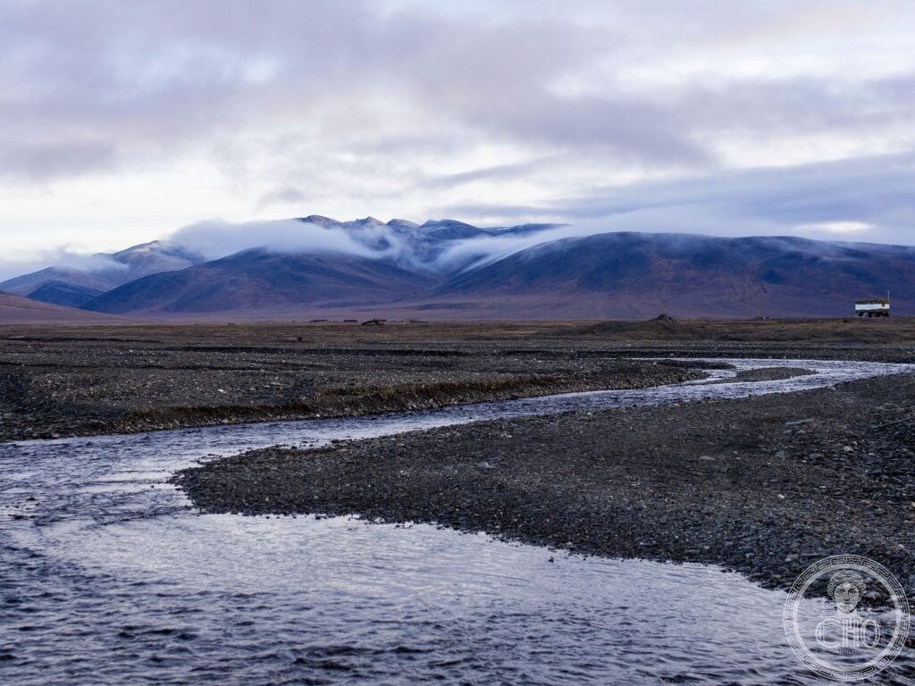Wrangel Island Russia Arctic tundra polar bears walrus woolly mammoth UNESCO World Heritage
