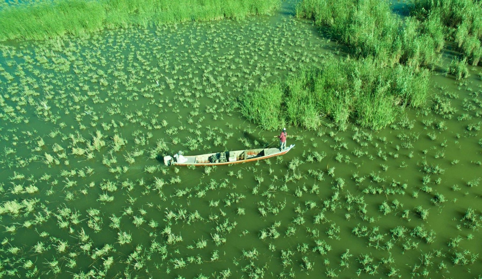 Mesopotamian Marshes of southern Iraq near Nasiriyah, aerial view