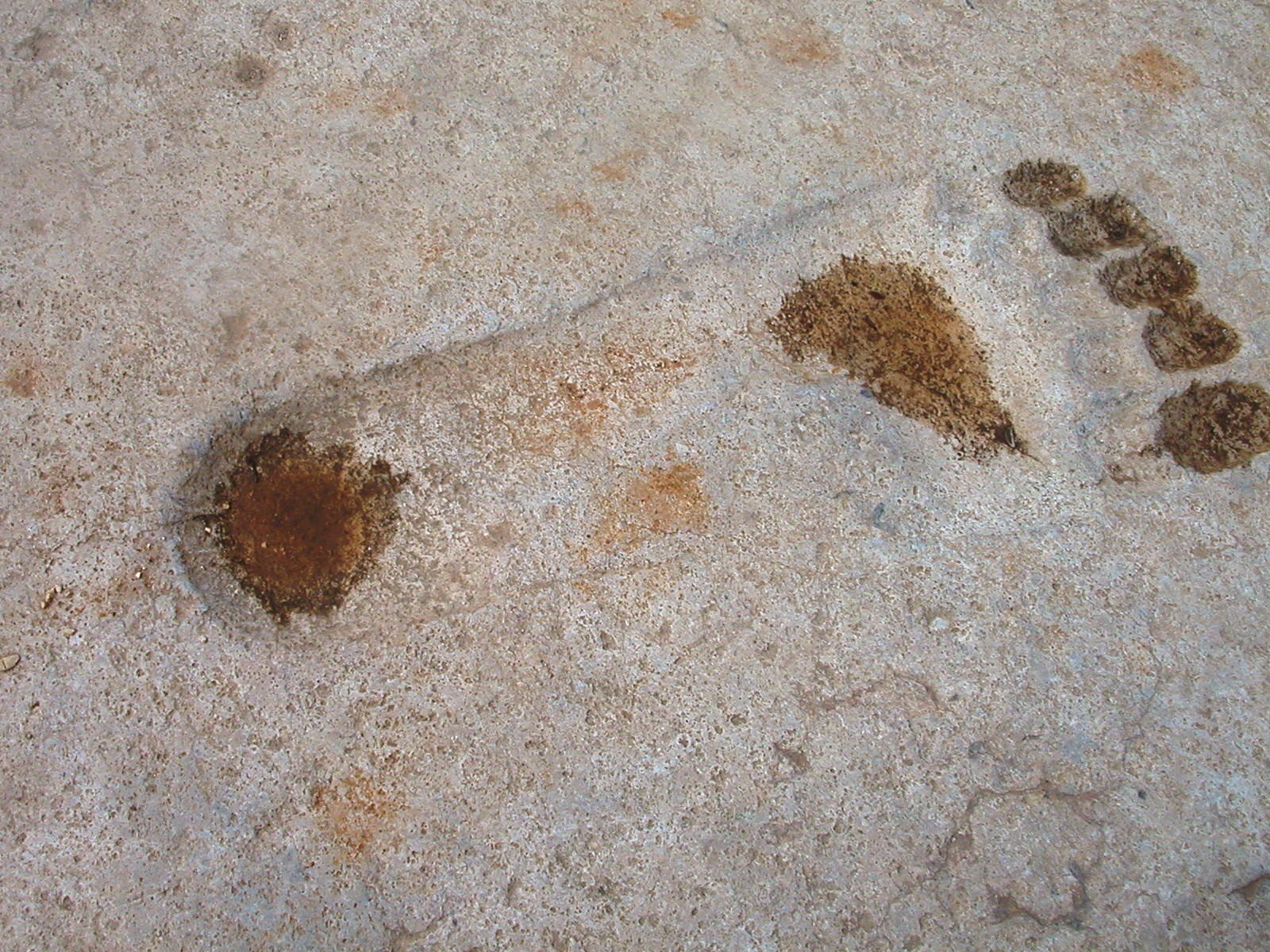Divine footprint carved in basalt threshold of the Ain Dara temple, northwestern Syria