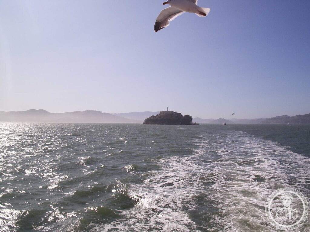 Alcatraz Island small on the horizon behind the white wake of a ferry, a seagull flying above