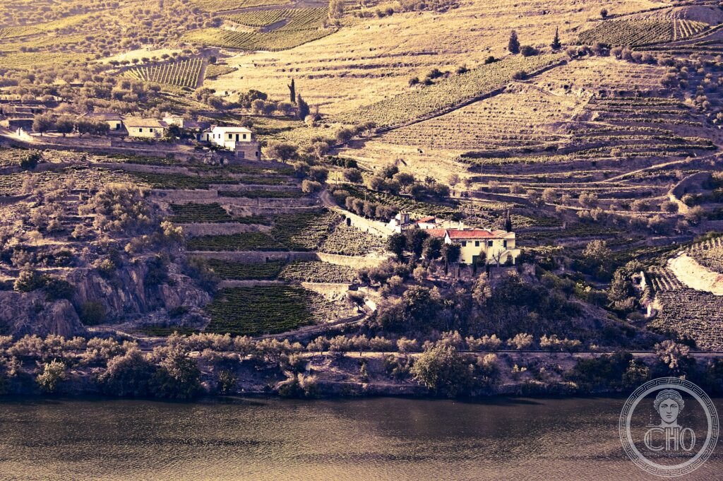 Terraced vineyards descending the steep slopes of the Douro valley to the river