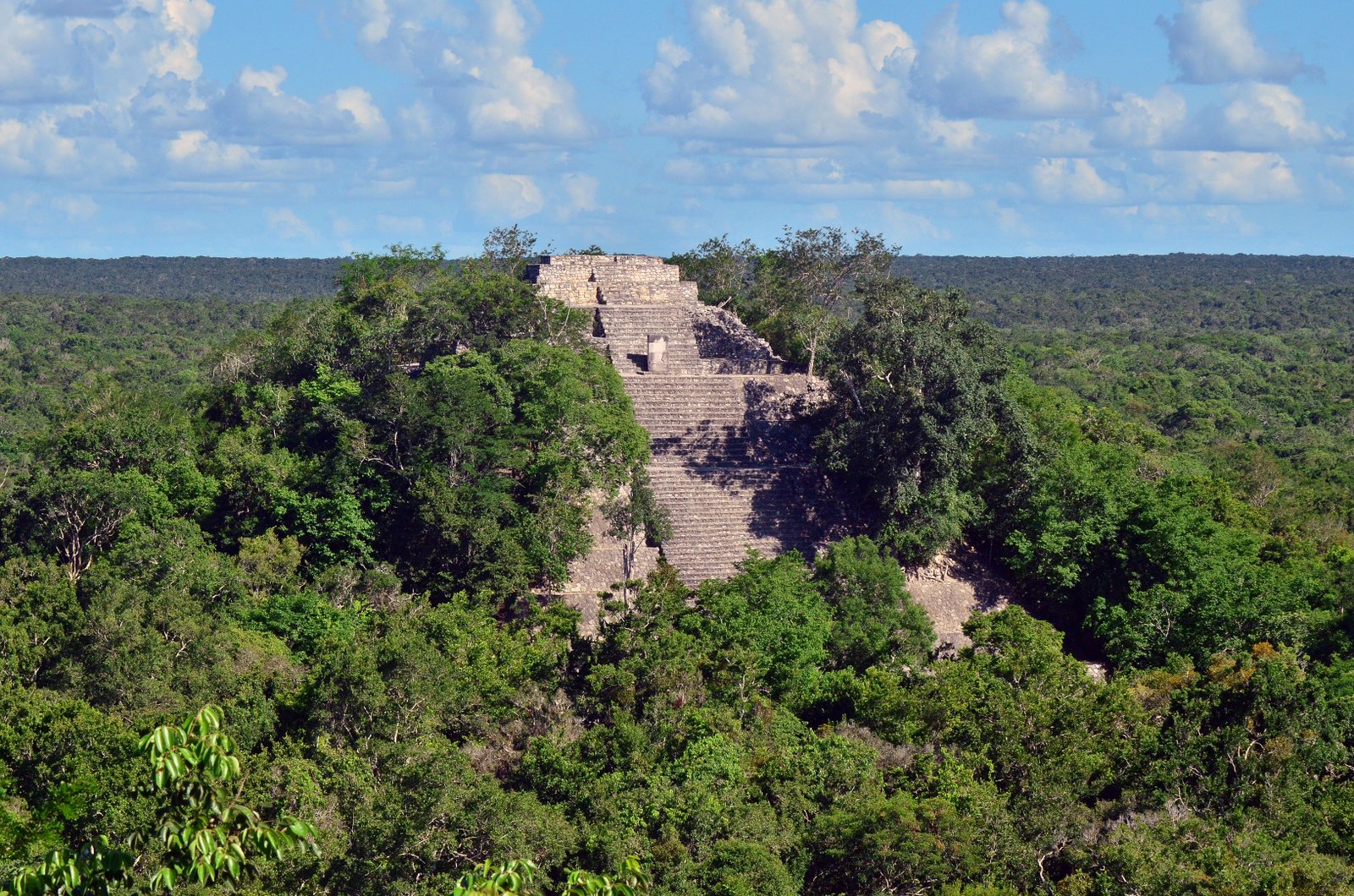 Calakmul Structure 2, the largest Maya pyramid by base area, rising from the Yucatán jungle