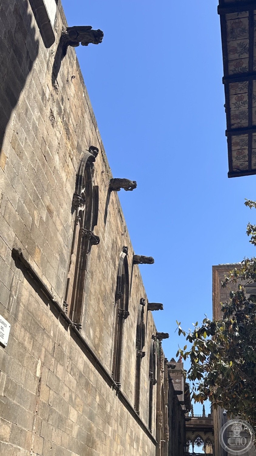 Barcelona Cathedral — The stone flank of the cathedral with its gargoyles.