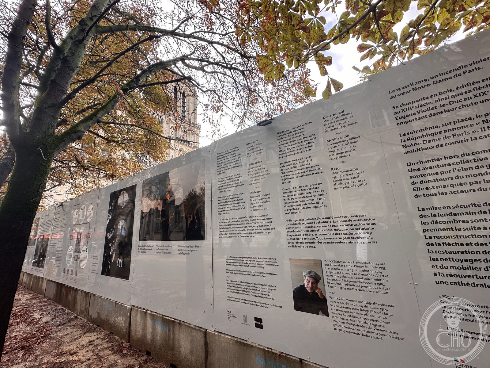 Cathédrale Notre-Dame de Paris — photo 5
