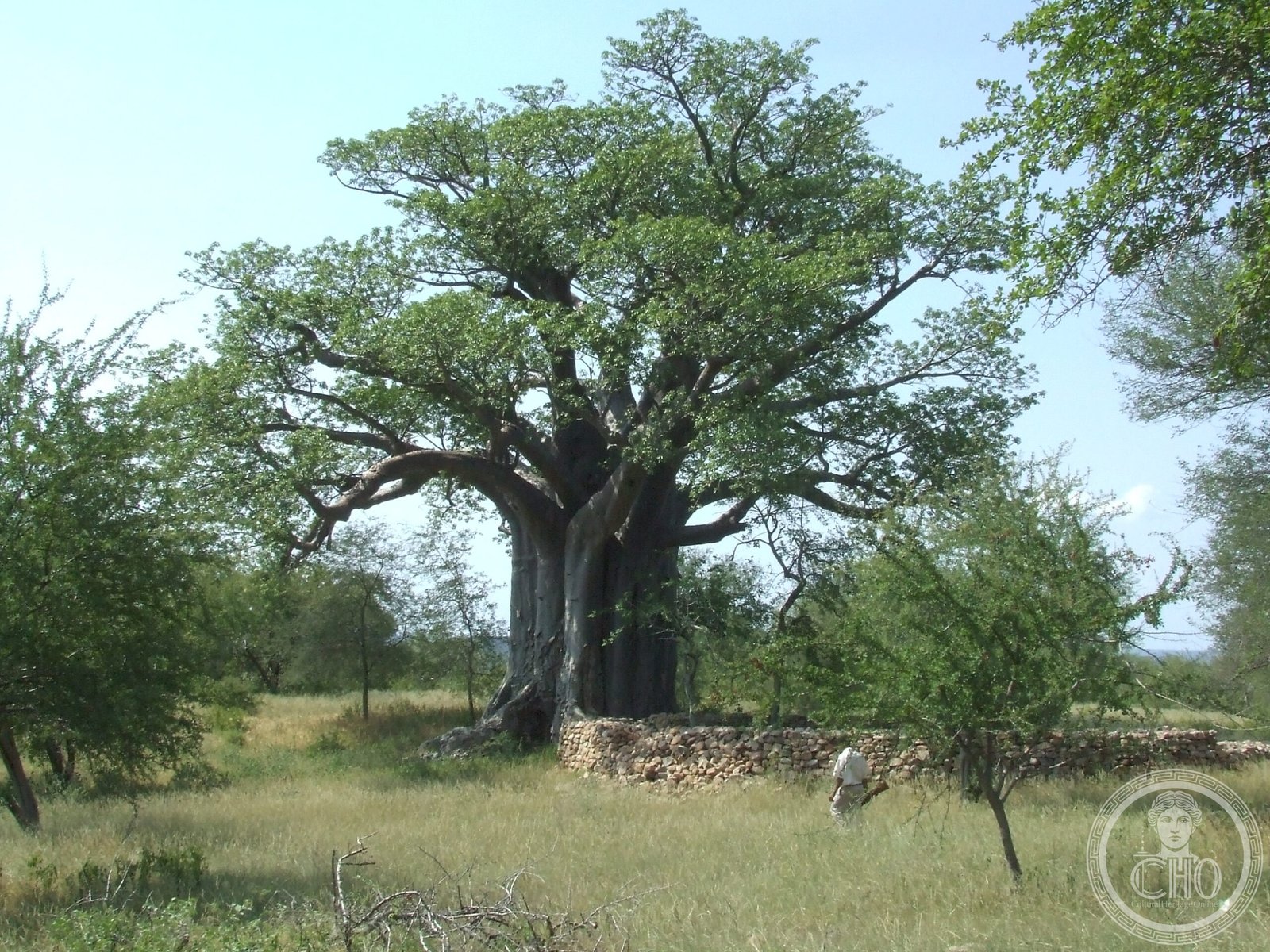 Thulamela Thulamela