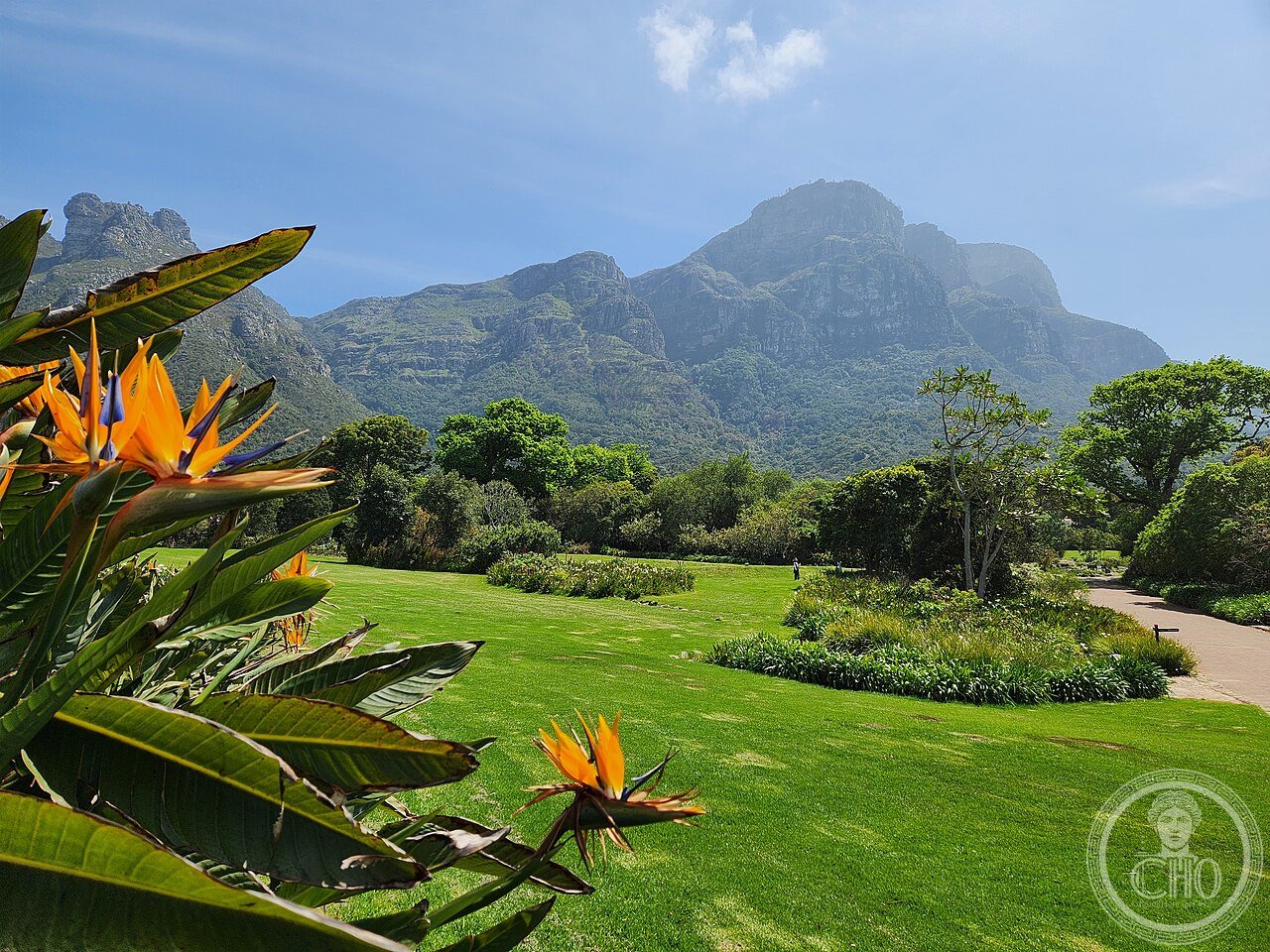 Kirstenbosch National Botanical Garden, Cape Town