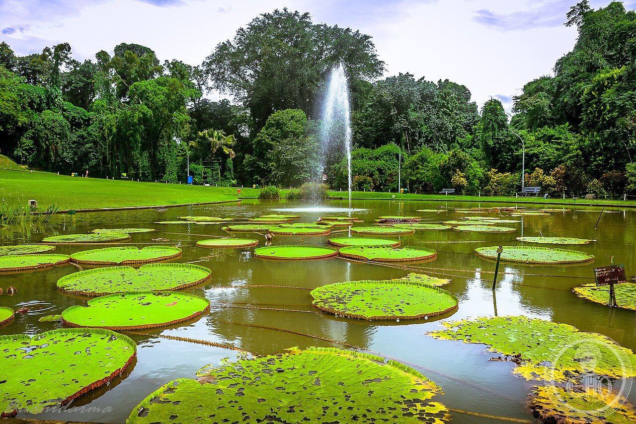Bogor Botanical Gardens, Indonesia