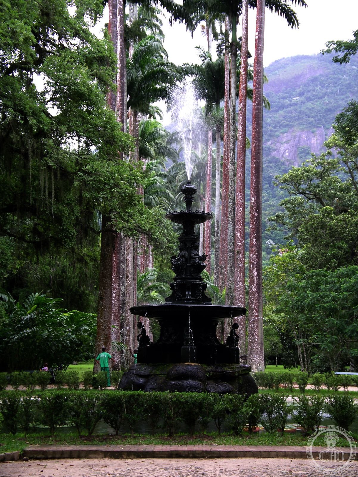 Rio de Janeiro Botanical Garden