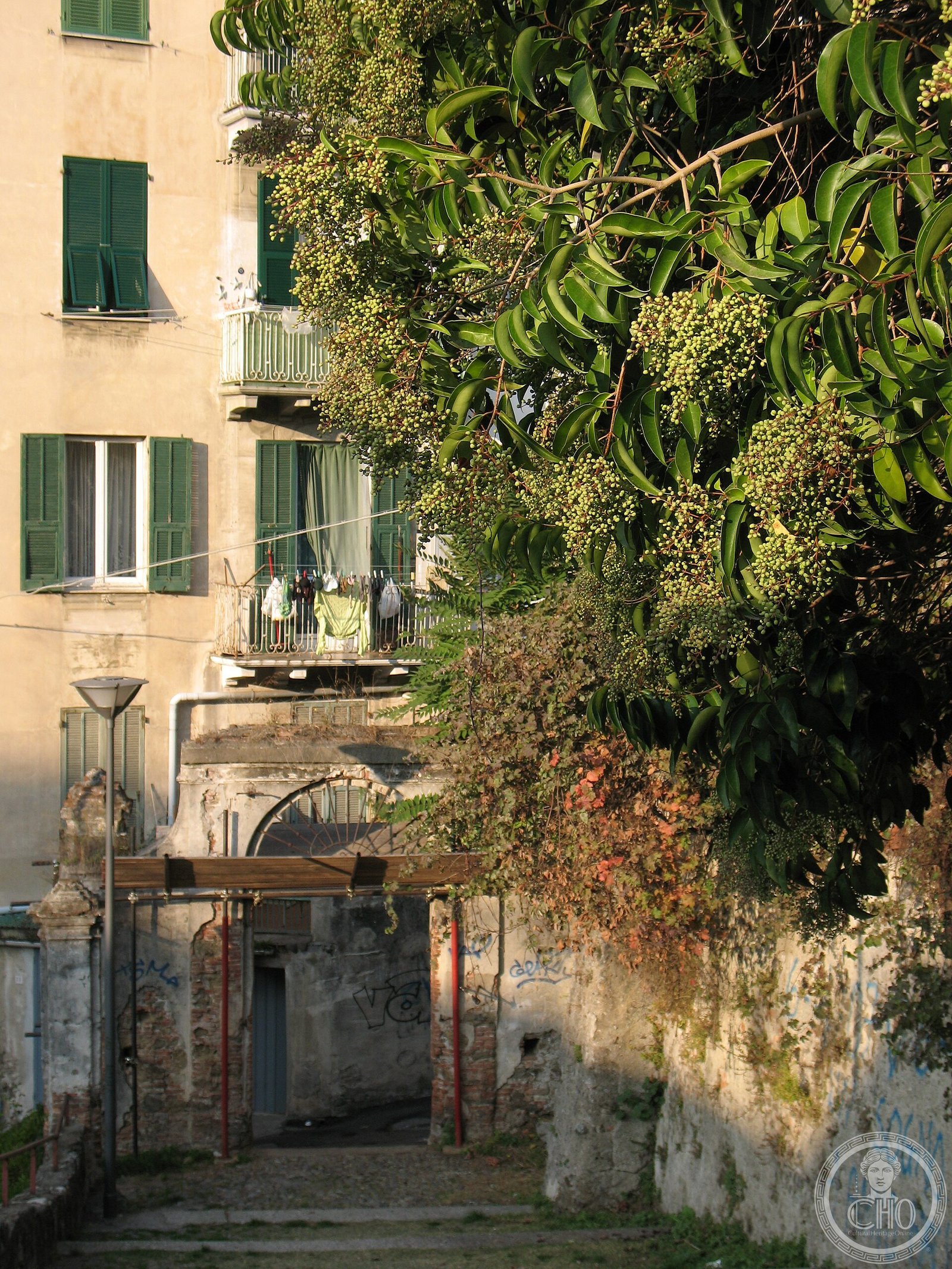 Savona — via Wikimedia Commons