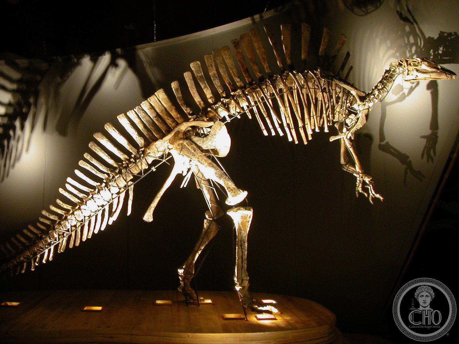 Fondego of the Turks – Giancarlo Ligabue Natural History Museum — via Wikimedia Commons