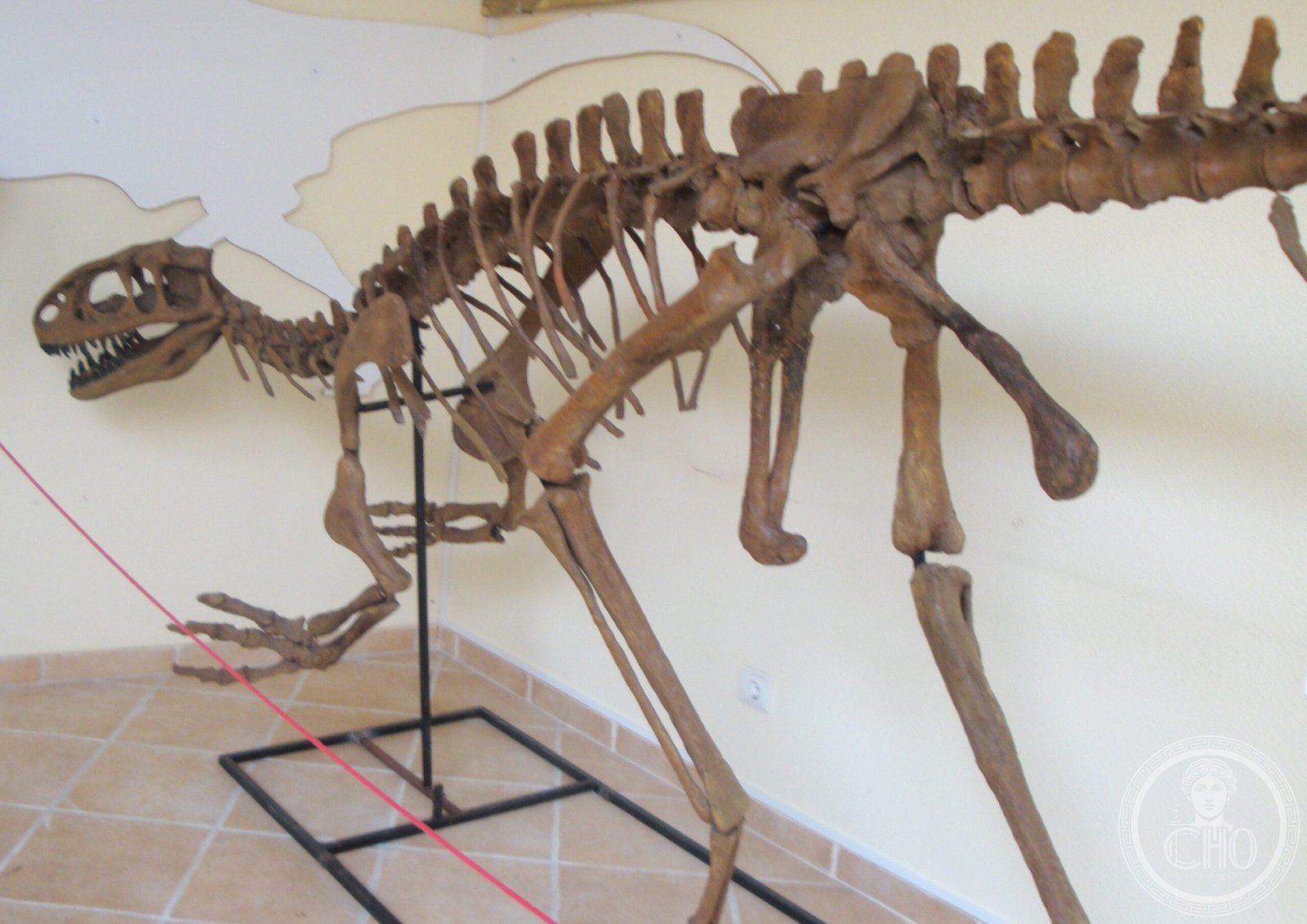 LourinhÃ£ Museum — via Wikimedia Commons