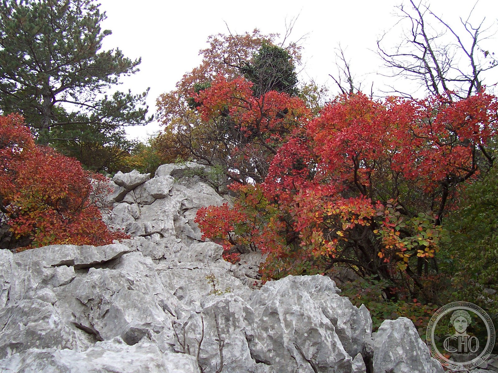 Karst Plateau – Carso Isontino Goriziano Triestino – Virtual Tour 360° — via Wikimedia Commons