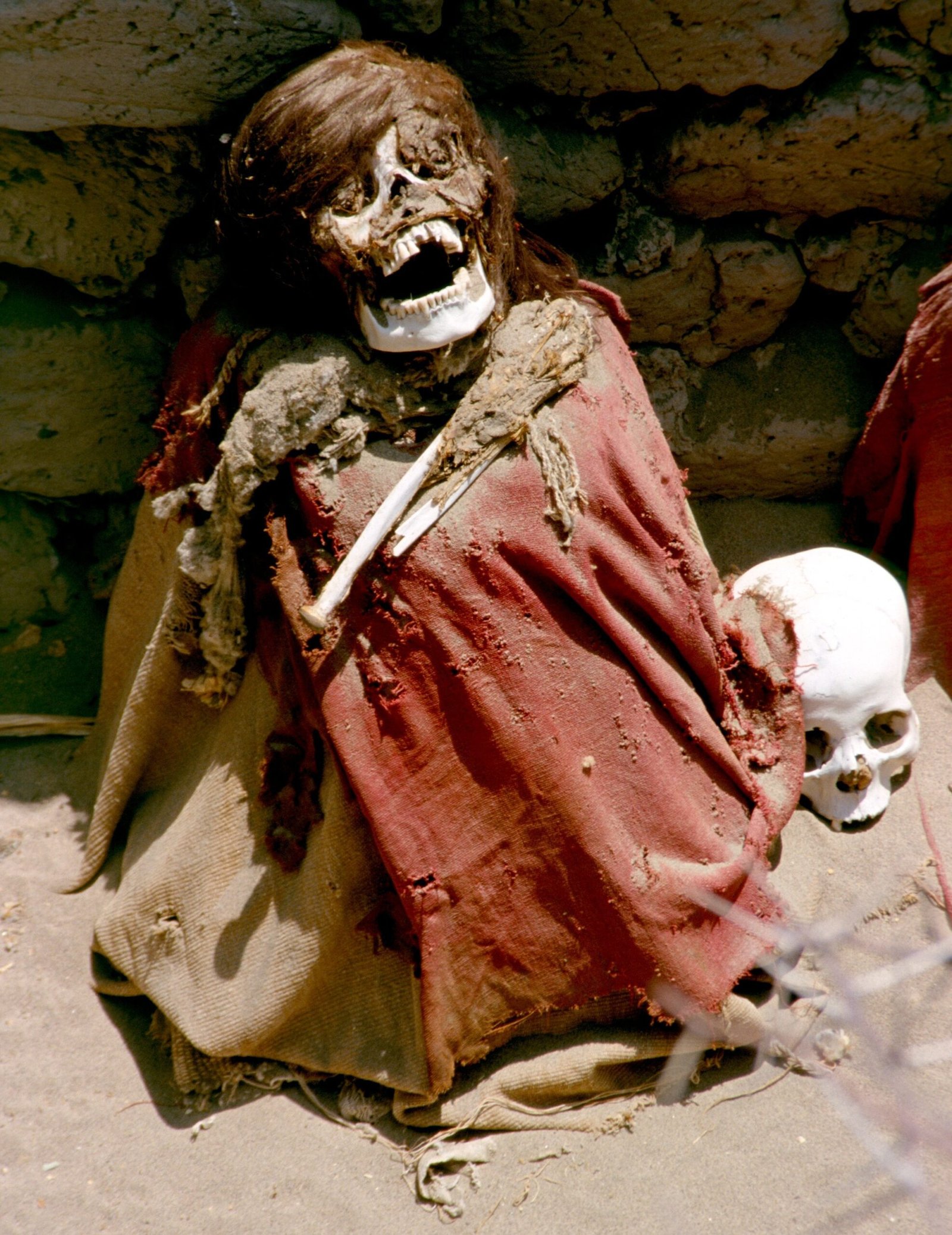 Mummified remains in burial pits at Chauchilla Cemetery, Nazca desert, Peru
