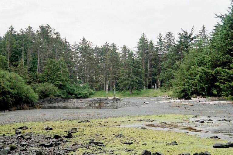 Standing totem poles at SGang Gwaay Llnagaay, the abandoned Haida village on Anthony Island, British Columbia