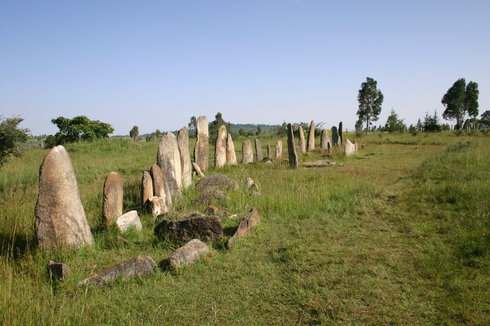 Tiya stele field, Ethiopia — prehistoric standing stones with carved sword symbols