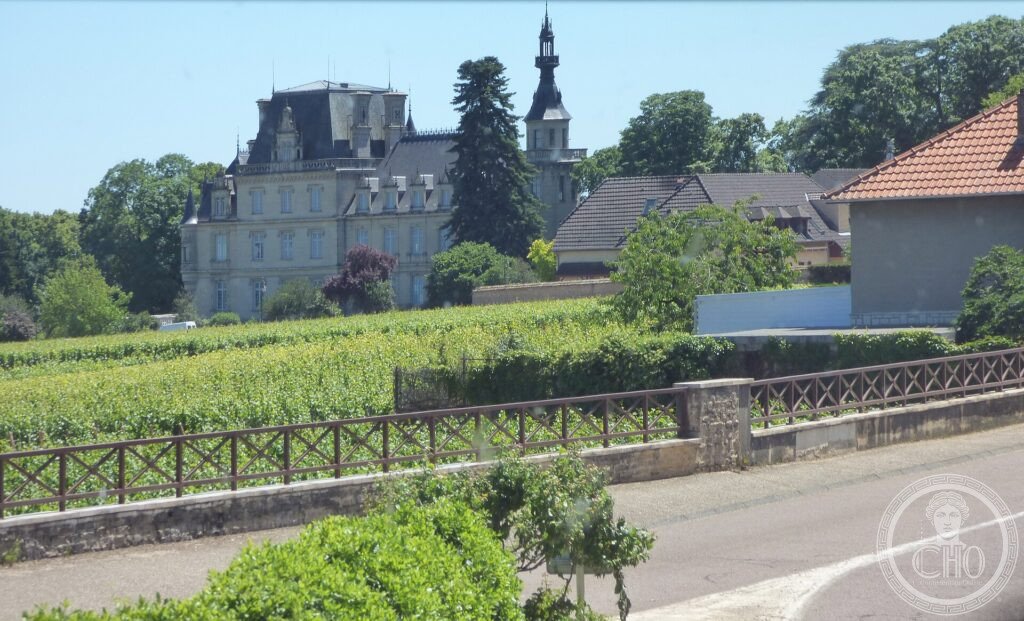 Burgundy vineyards in front of a château on the Route des Grands Crus near Brochon