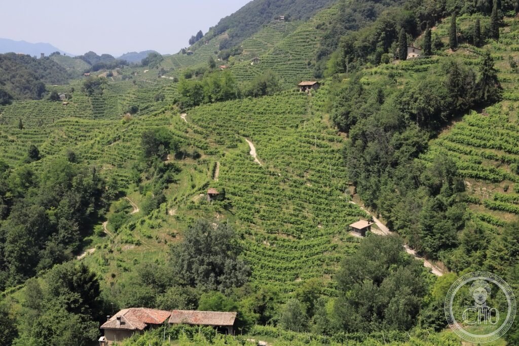 Colline Prosecco Conegliano Valdobbiadene DOCG hogback filari vite prealpi trevigiane paesaggio UNESCO 2019