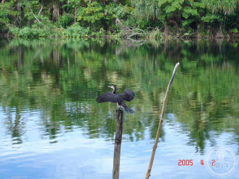 UNESCO World Heritage Sites in Solomon Islands: the complete guide (1 site)