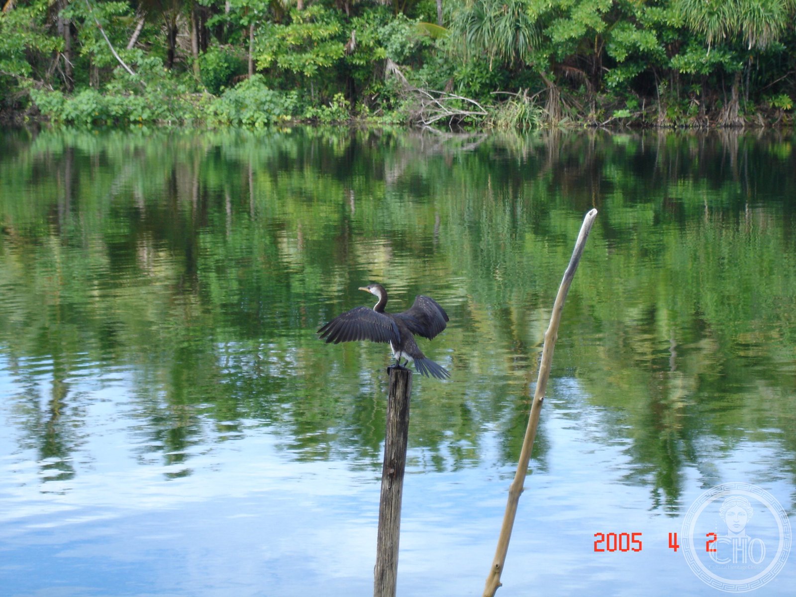 East Rennell and Lake Tegano, Solomon Islands — UNESCO World Heritage natural site
