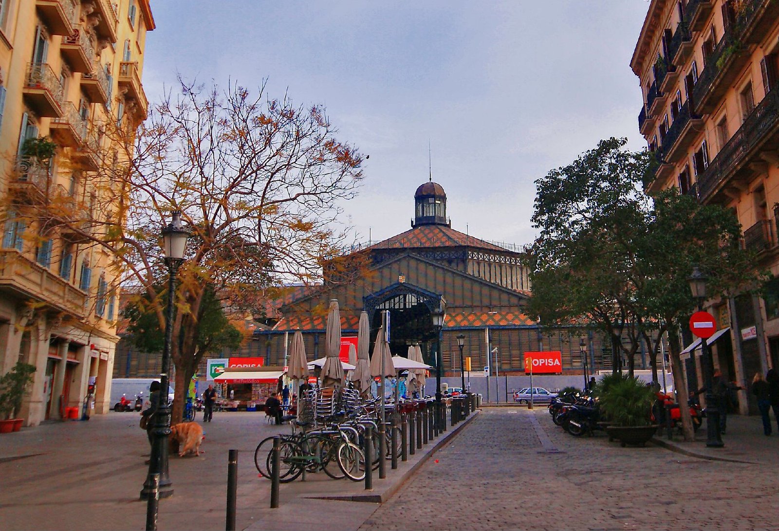 The iron-framed former market hall of El Born, now a cultural centre