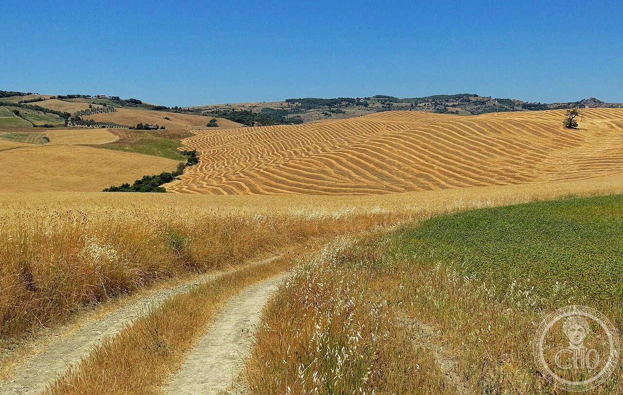 Castiglione-Scenery-2012