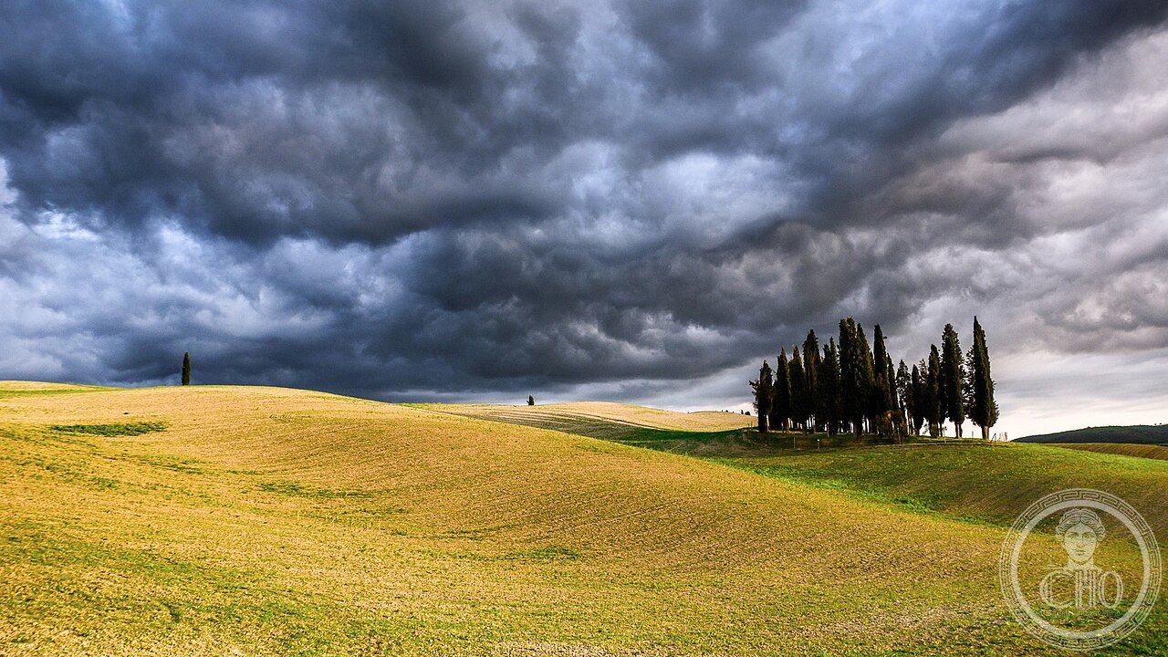 
Cypress