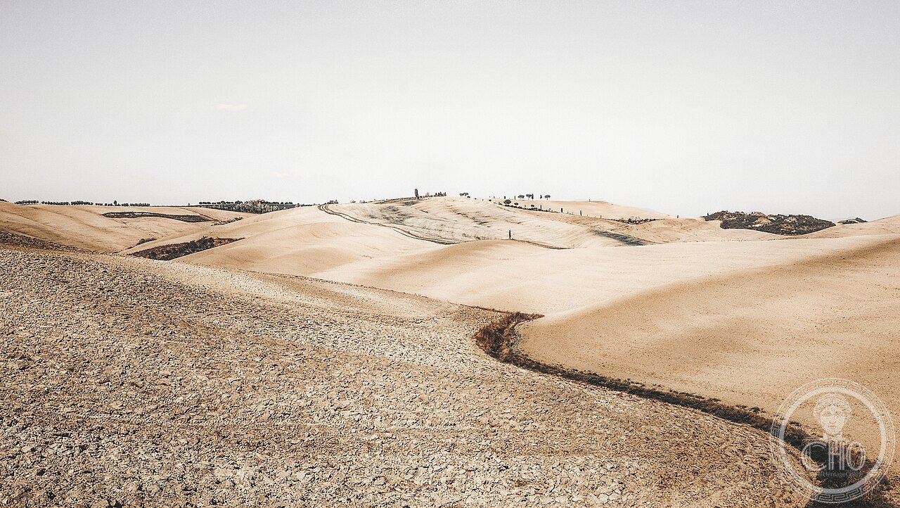 Dry and Desolate (Unsplash)