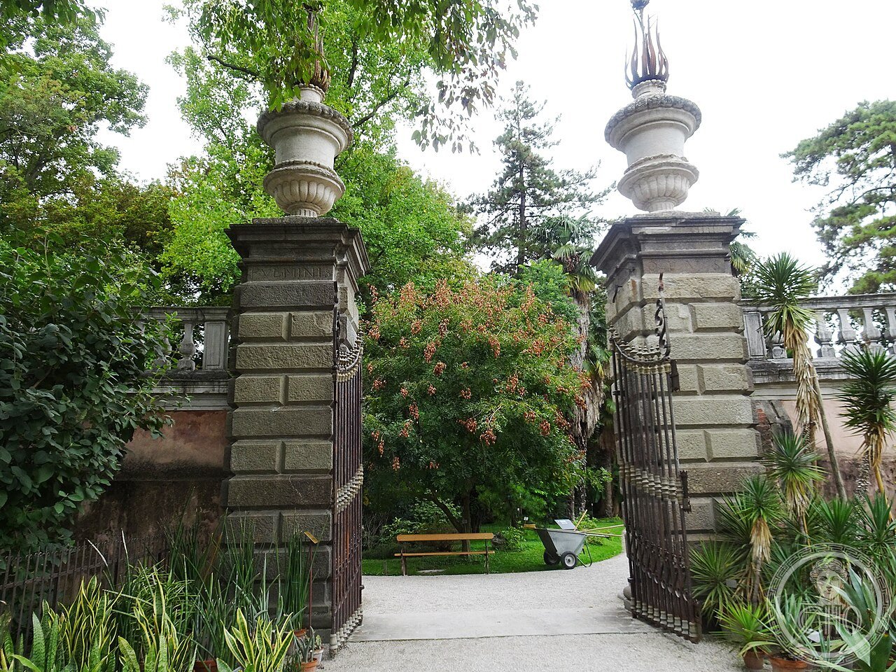 Padova, Orto botanico (03)