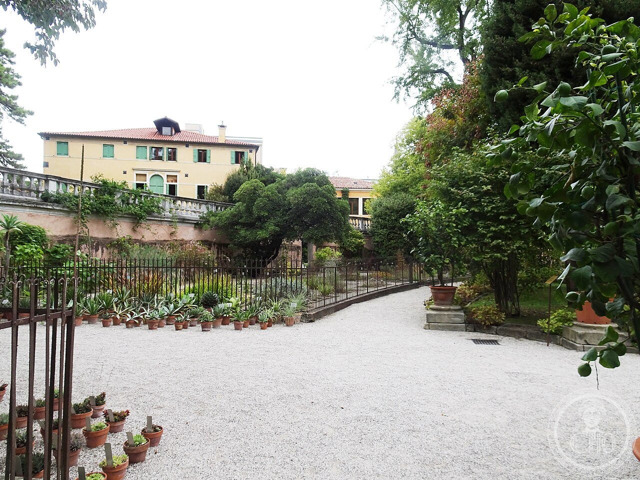 Padova, Orto botanico (06)