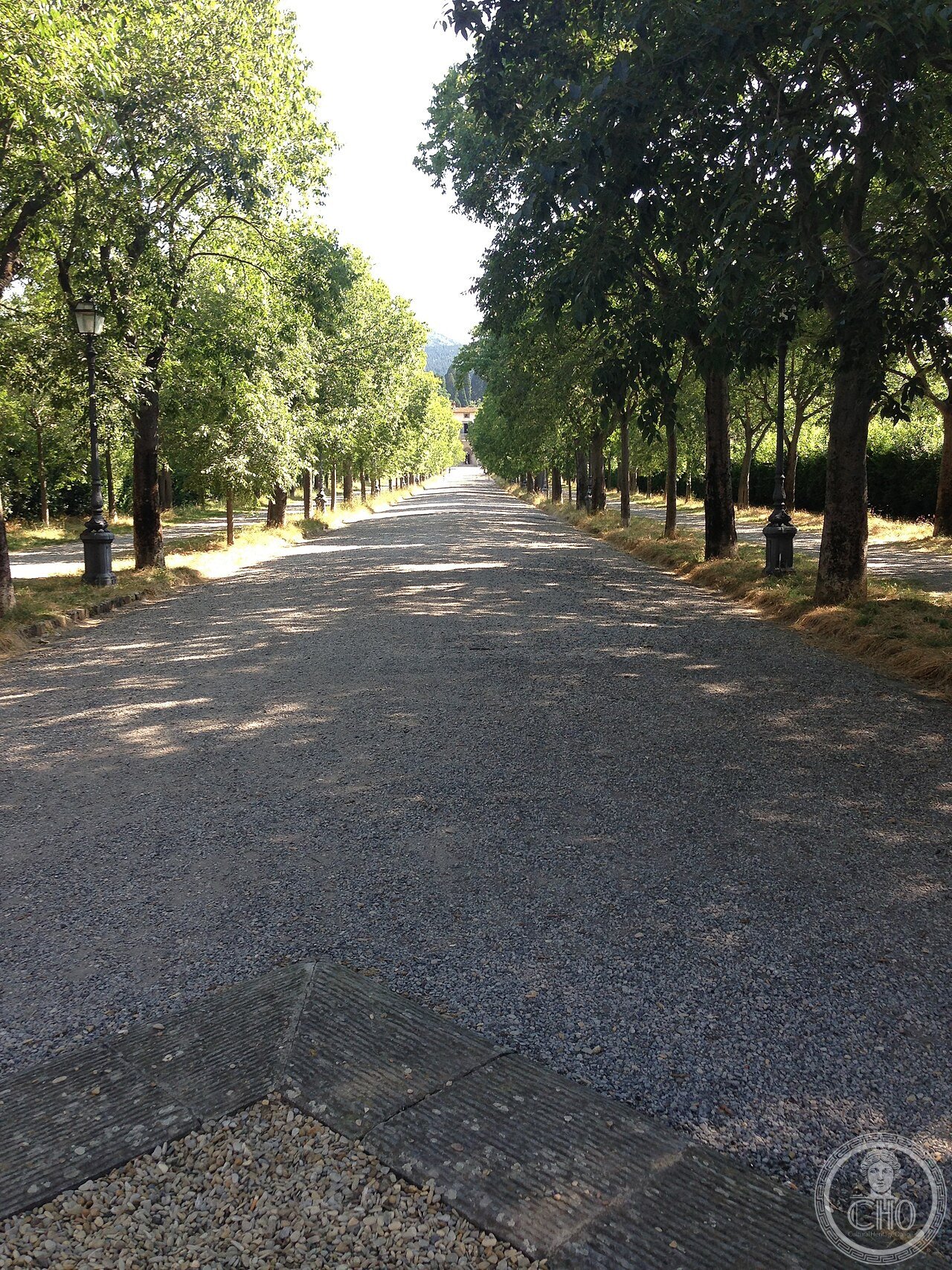 Villa di Castello - avenue of trees