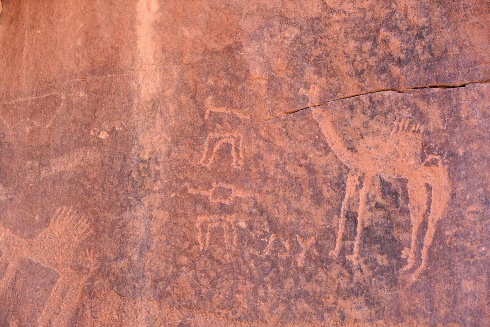 Petroglyphs carved into sandstone at Jubbah, Hail Region, Saudi Arabia — horses, ibex and human figures dating back thousands of years