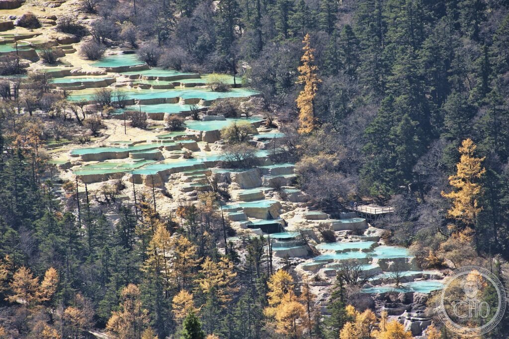 Terraced travertine pools in shades of blue and gold descending a forested valley at Huanglong