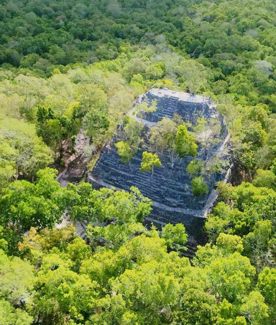 La Danta pyramid at El Mirador, the largest pyramid by volume in the world, surrounded by jungle in northern Guatemala