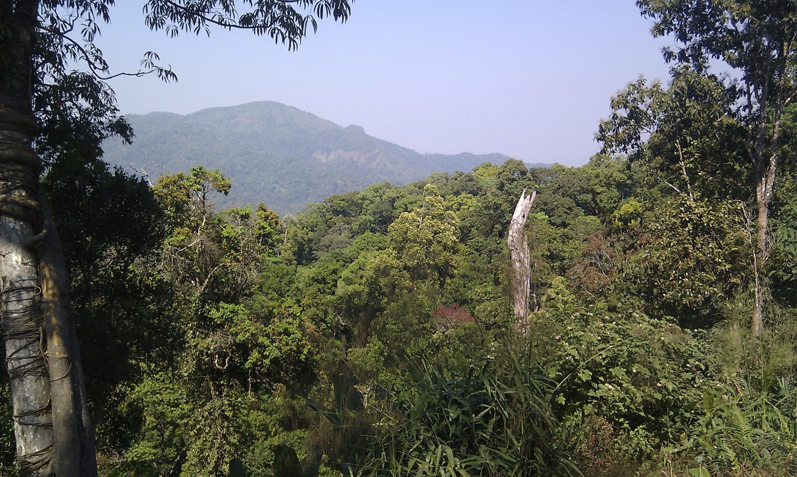 Kaeng Krachan reservoir and forested hills, western Thailand