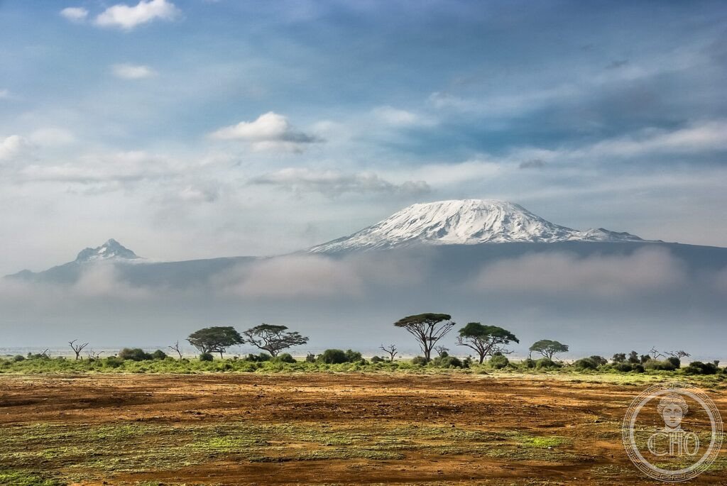 The snow-capped flat summit of Mount Kilimanjaro rising above the savanna and acacia trees