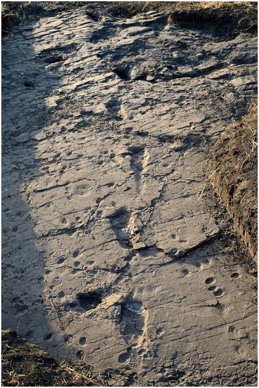 Test pit L8 at Laetoli Site S, Tanzania, showing ancient hominin fossil deposits