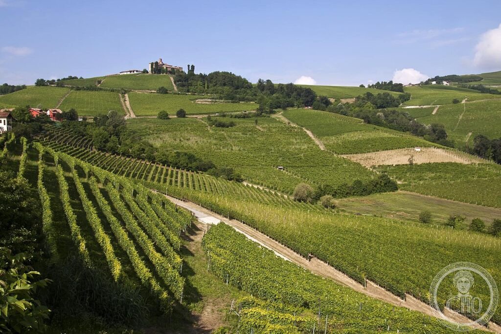 Langhe Piemonte vigneti autunno colline paesaggio vitivinicolo UNESCO 2014 nebbiolo barolo barbaresco