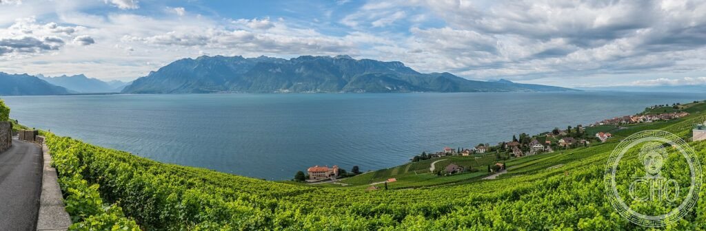 Steep terraced vineyards of Lavaux descending to Lake Geneva with the Alps beyond