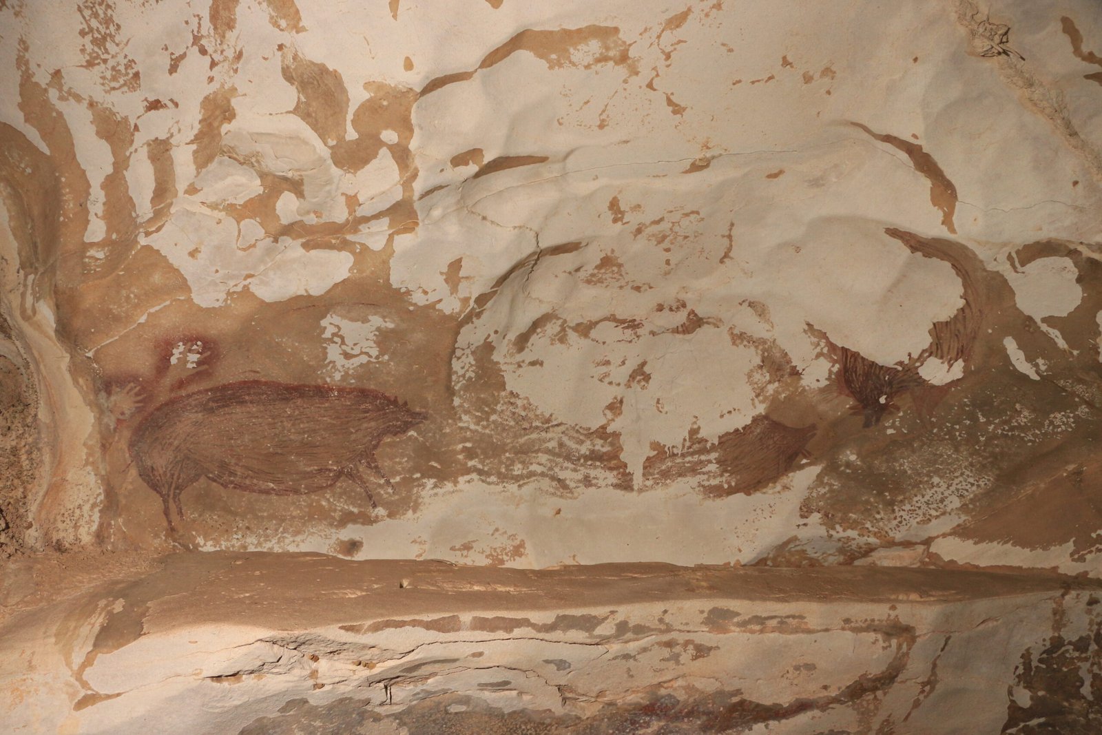 Leang Tedongnge cave painting, Sulawesi — the world's oldest known figurative artwork