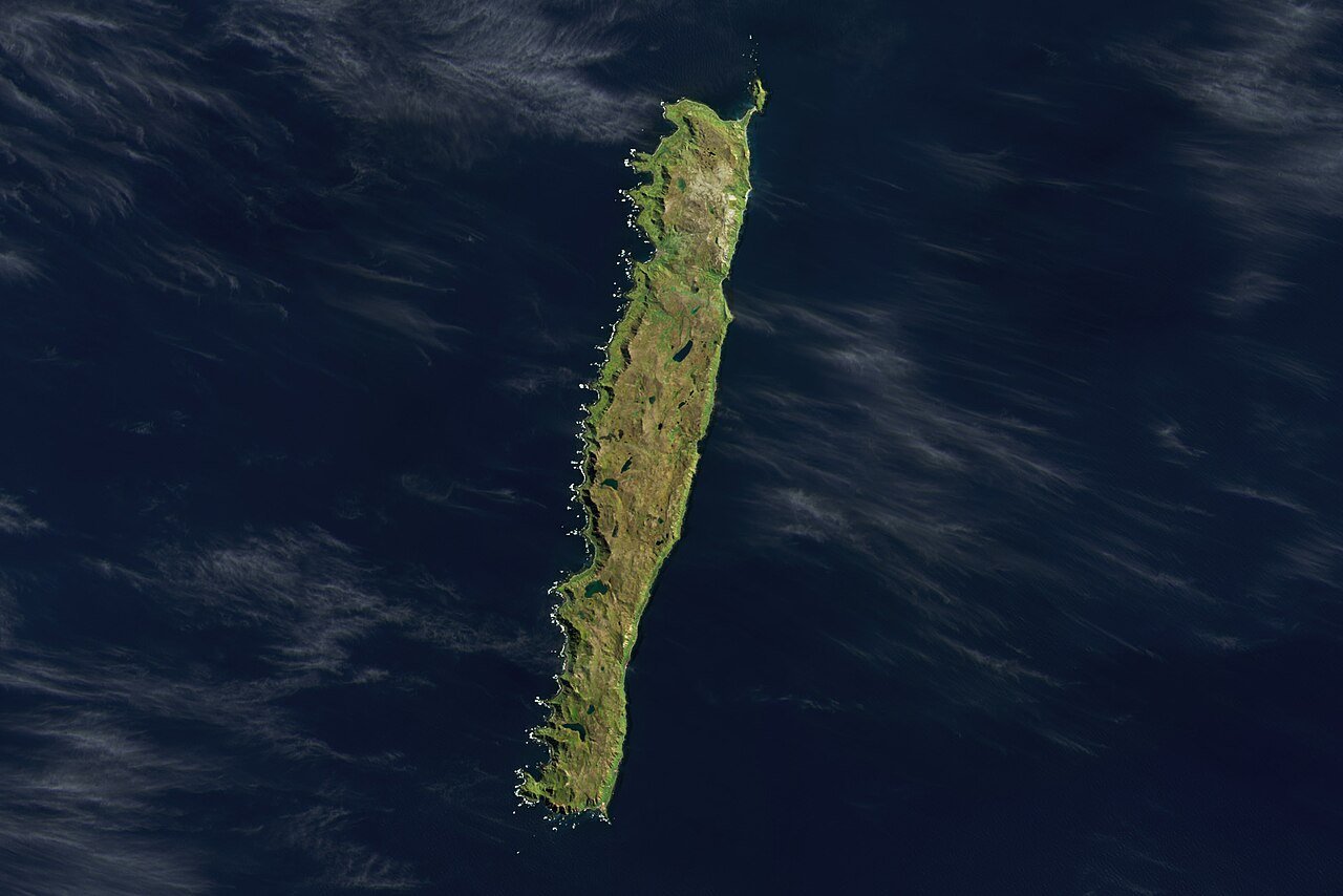 Colonia di pinguini reali (Aptenodytes patagonicus) sulla spiaggia di Macquarie Island, isola sub-antartica australiana — Patrimonio UNESCO