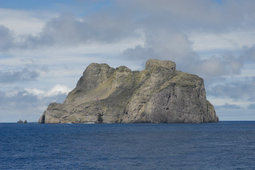 A school of scalloped hammerhead sharks at Malpelo, Colombia