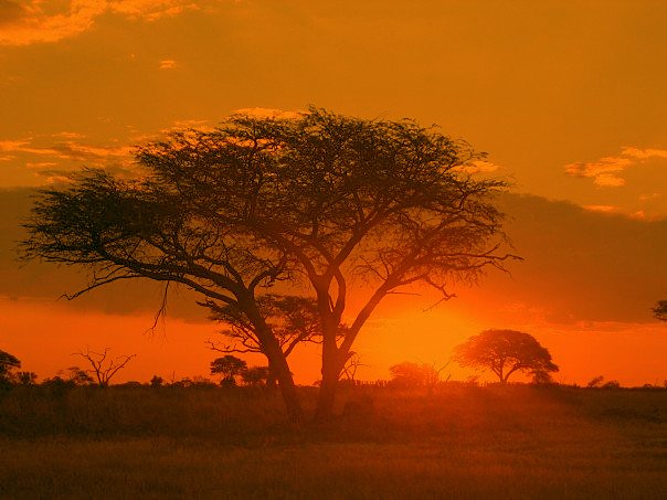 Sunrise over the granite boulder landscape of Matobo Hills, Zimbabwe
