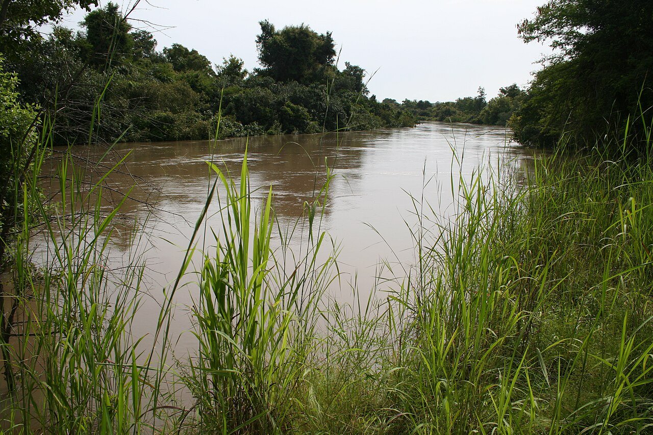 Hippopotamus in the W National Park, Burkina Faso / Benin / Niger